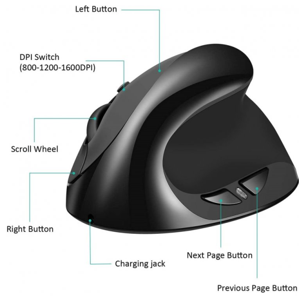Kenson vertical mouse comfi 2 wireless - Bilde 4
